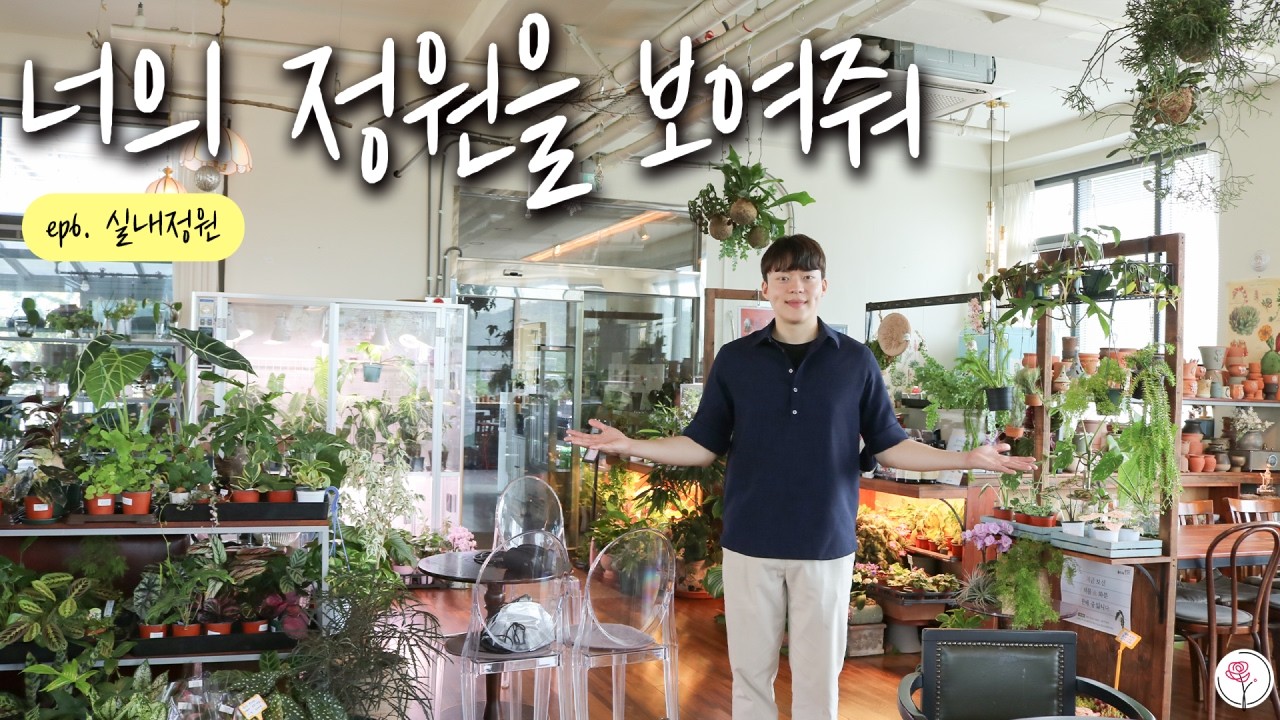 식물 많아도 벌레 없이 관리하는 방법 | 10년 차 가드너의 관리 루틴 | 토분 애장품 구경까지