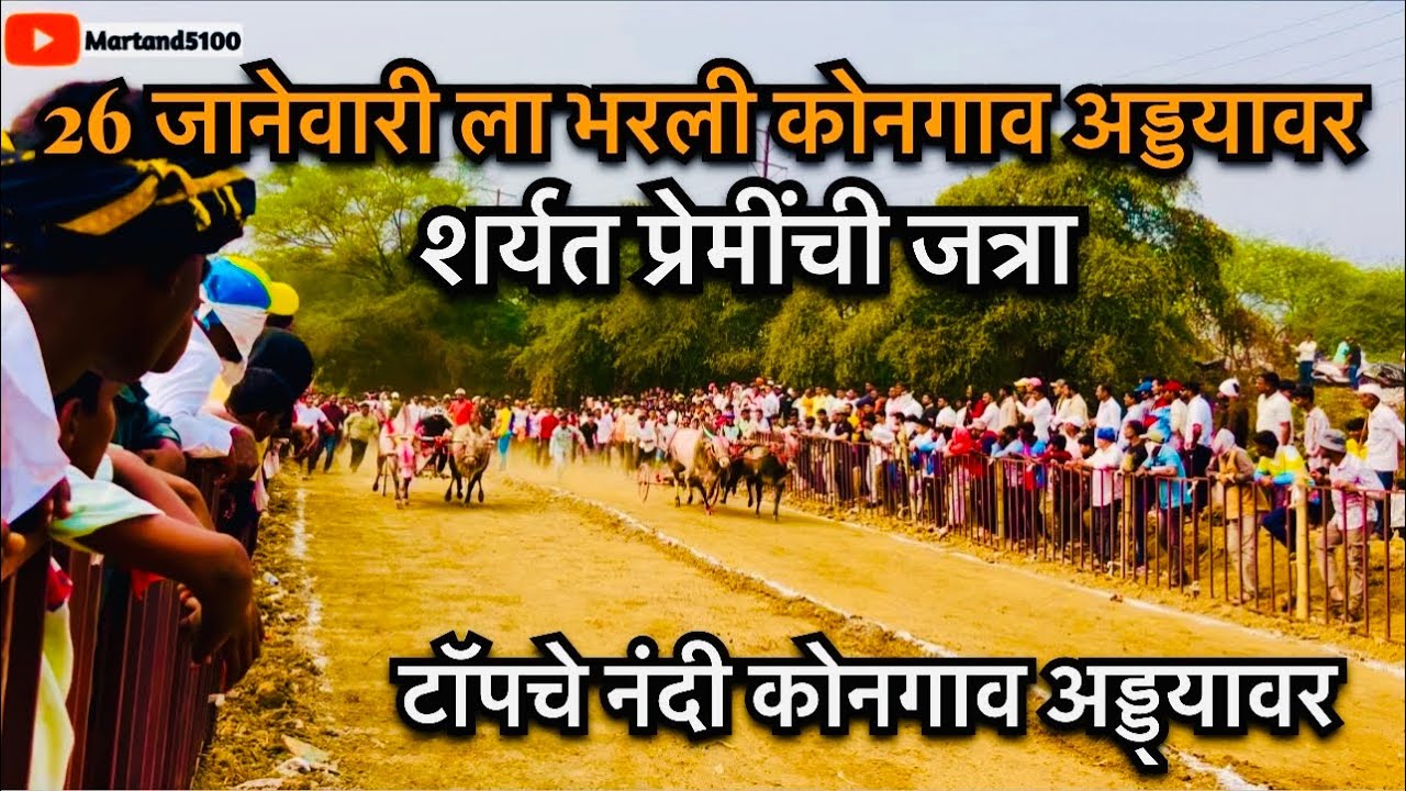 Kongav adda 26 january | कोनगाव अड्डा 26 जानेवारी स्पेशल |bailgada sharyat | बैलगाडा शर्यती 