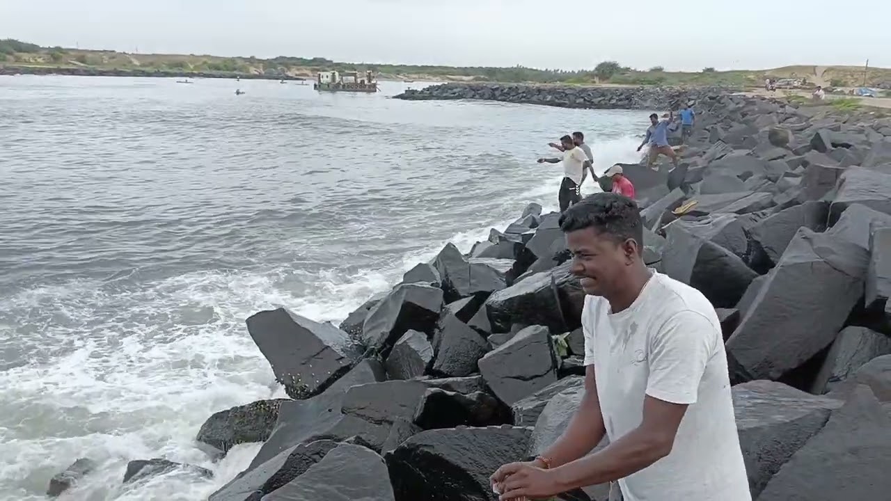 today's tackle ponal fish🎣 #fishing #pondicherry #kadal #shorts #harbour