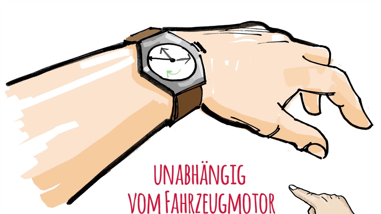 Gute und Bessere Praktiken während des Transports von pferdes