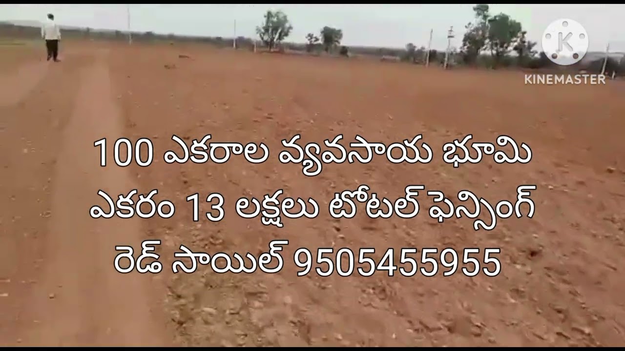 #agriculture #low #price #red soil
