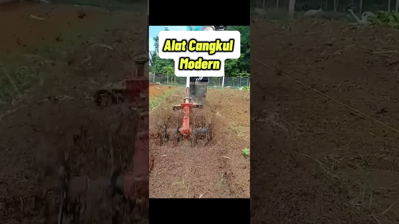 cakar baja mesin rumput  #cultivator #mesinrumput #bajaksawahtradisional