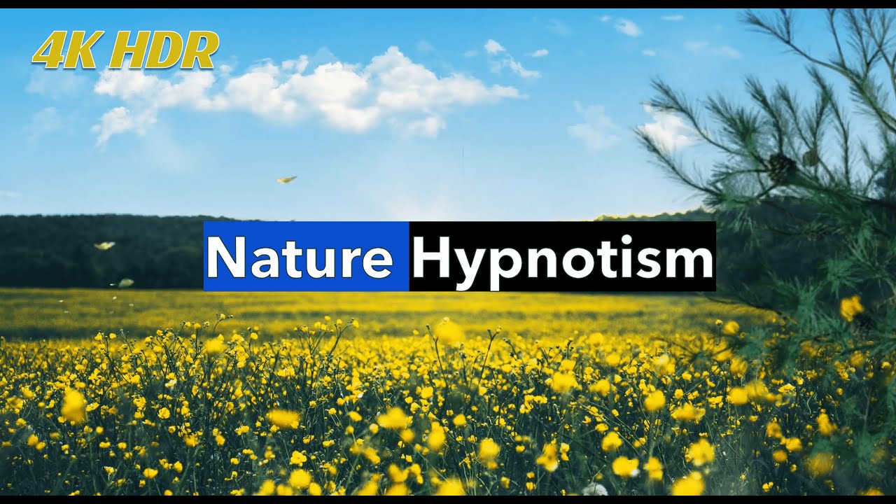 Hypnotic Nature view | Relax your mind instantly | 4K HDR view