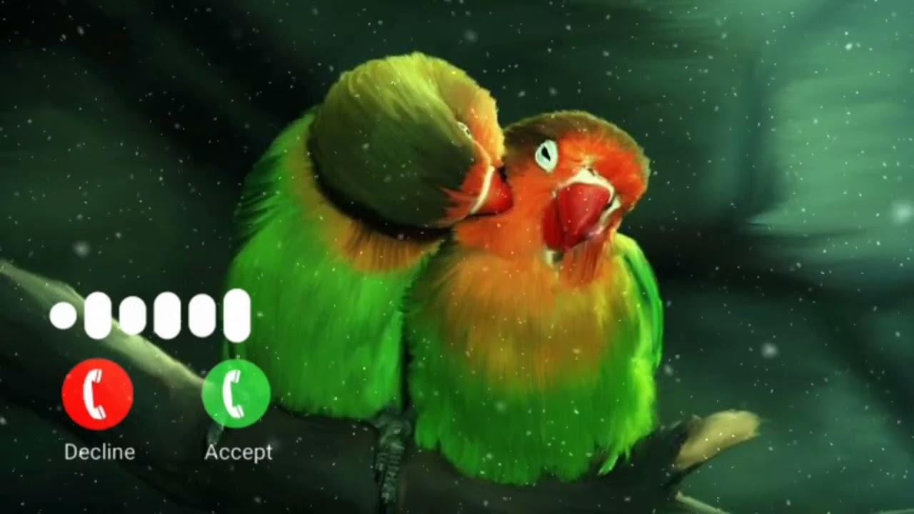 Cute Sms Ringtone | remix ringtone | new message ringtone | new hit message ringtone