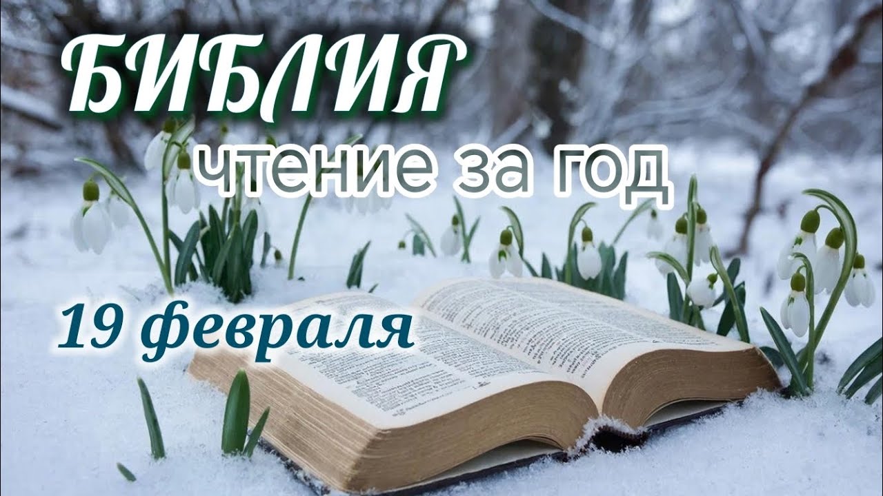 Библия - ежедневное чтение за 19 февраля 