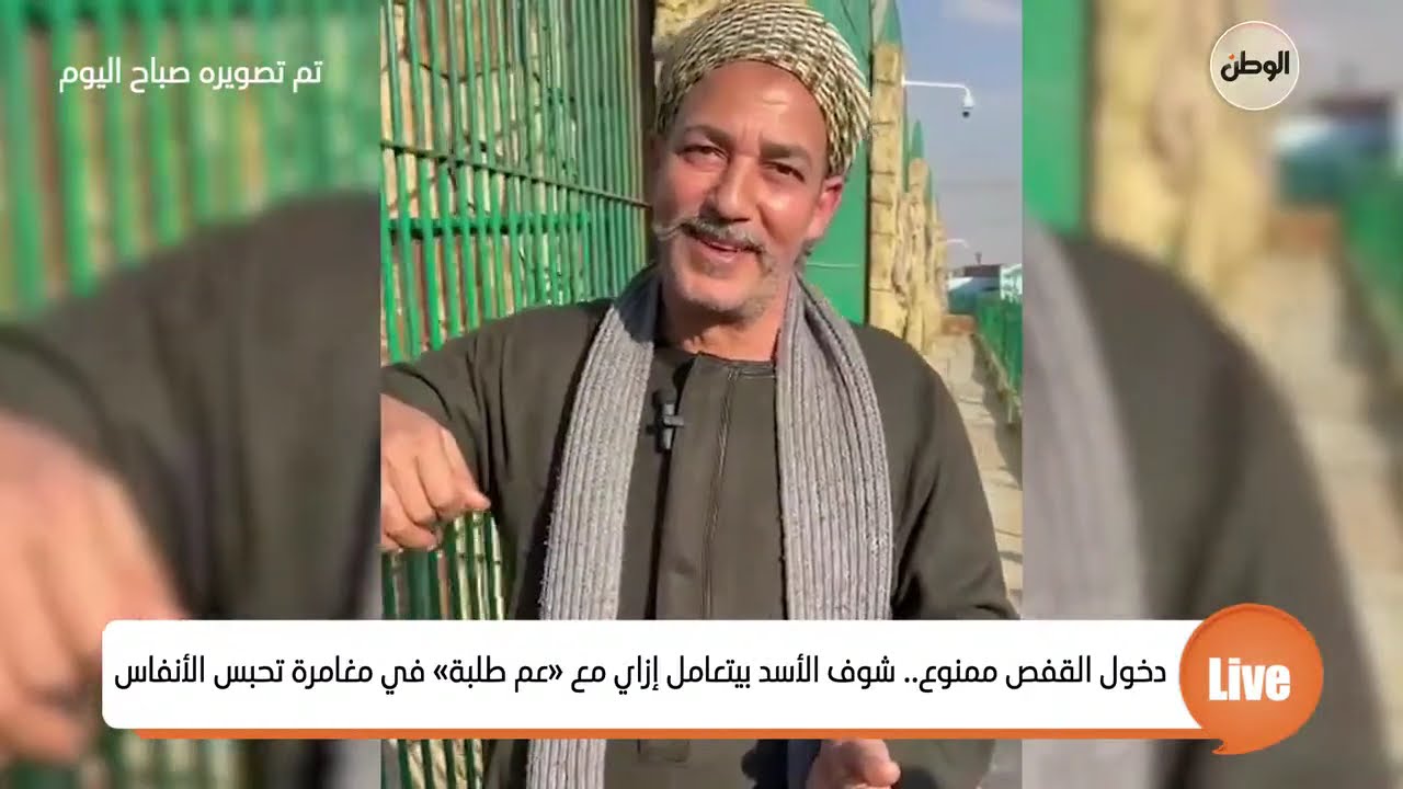 دخول القفص ممنوع.. شوف الأسد بيتعامل إزاي مع «عم طلبة» في مغامرة تحبس الأنفاس