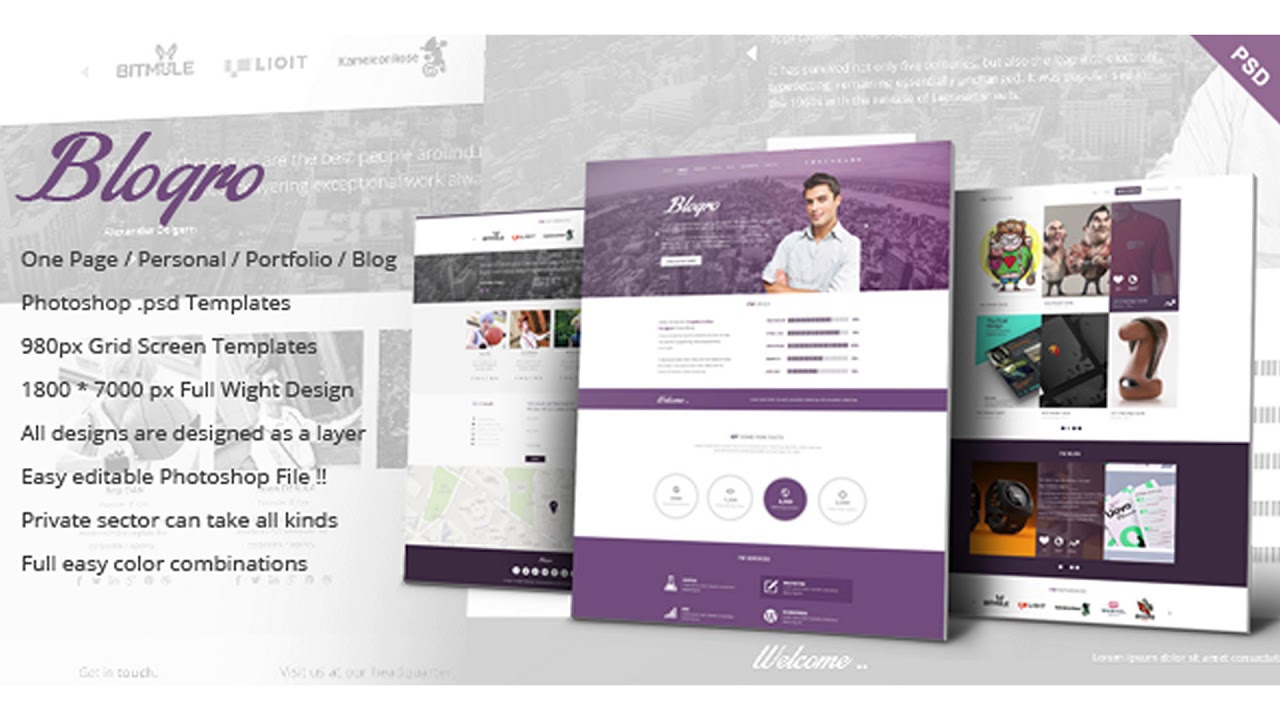 Blogro - One page Personal web design | Themeforest Website Templates and Themes