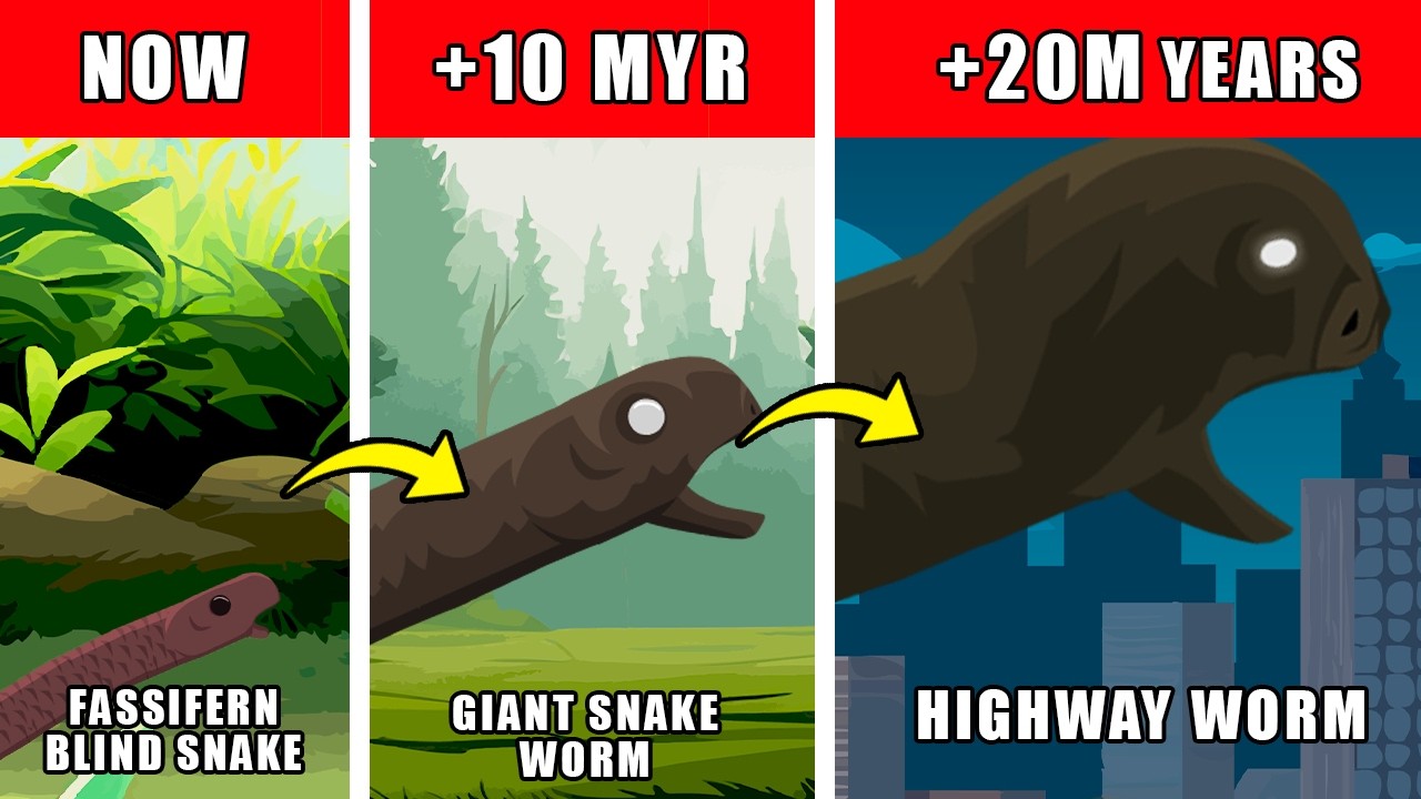 Highway Worm Origin Evolution: How Highway Worm Could Have Evolved