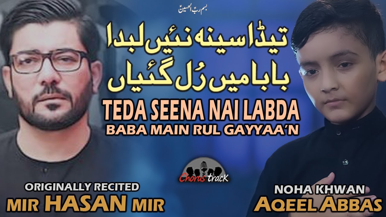 Noha Bibi Sakina 2020 - Tera Seena Nahi Labda - Mir Hasan Mir Noha 2020 - Aqeel Abbas 13 Safar Noha