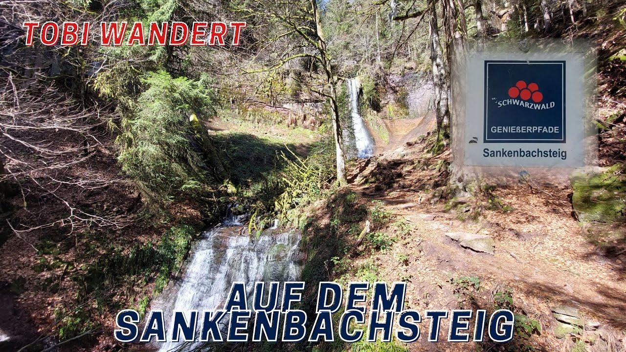 Auf dem Sankenbachsteig - Unterwegs auf Schwarzwälder Genießerpfaden