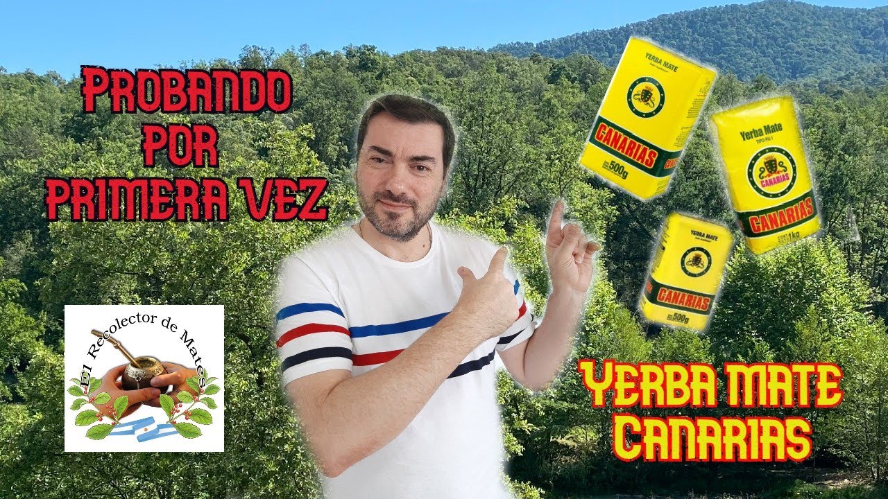 Probando por primera vez yerba mate 