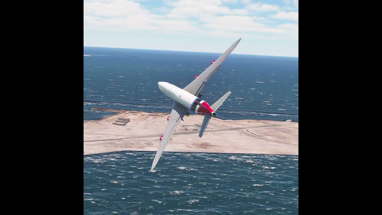 the pilot's actions endangered the plane's passengers EP309