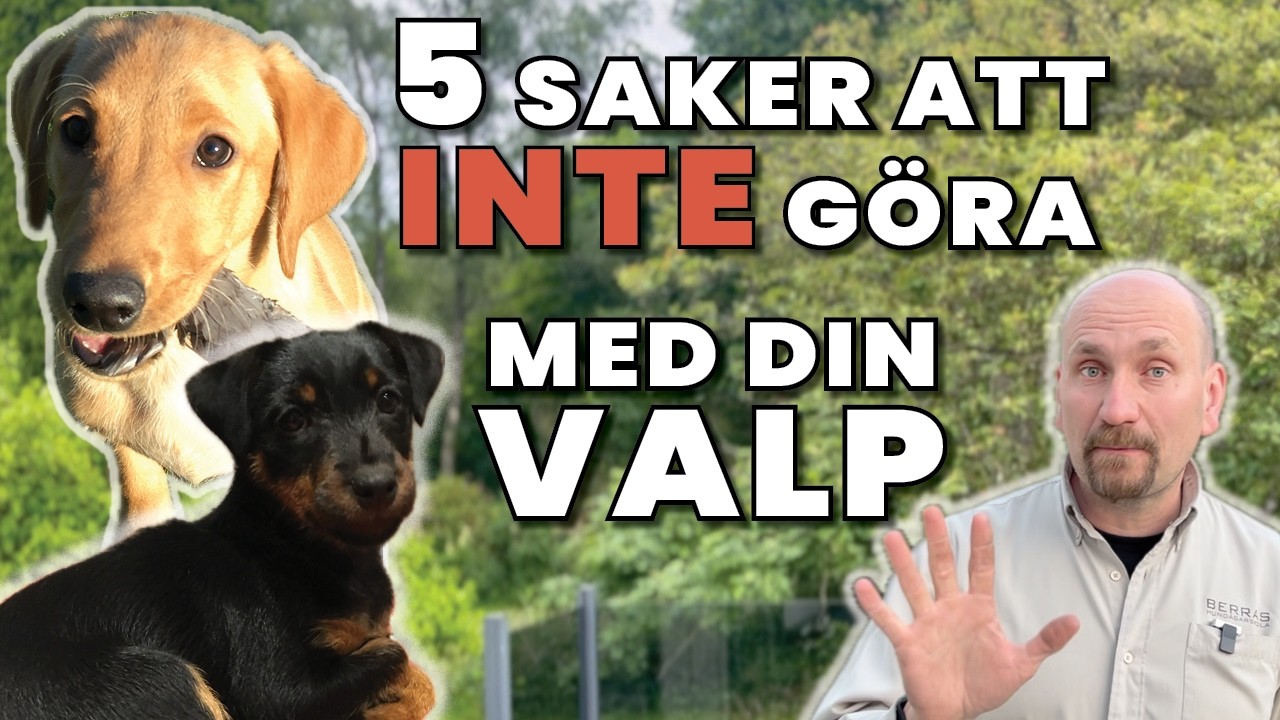 5 saker att INTE g&ouml;ra med din Valp!