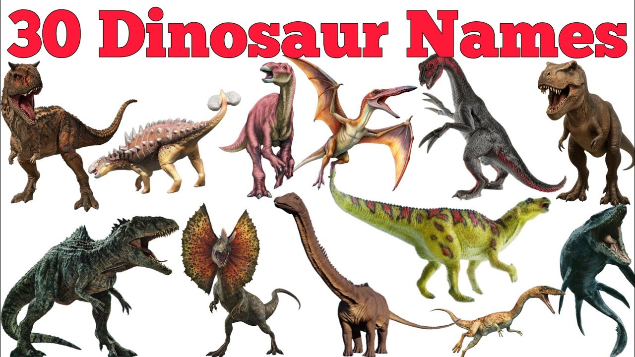 Learn 30 Dinosaur Names In English & Hindi With Fun Facts | Fun Learning For Children