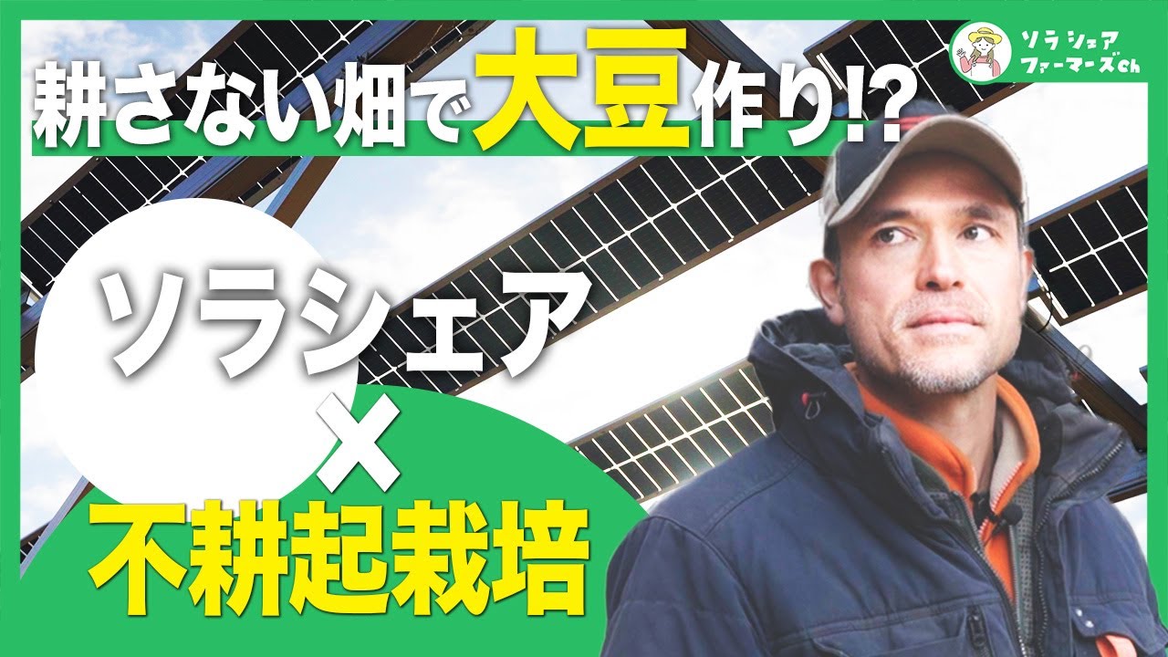 ソラシェア&耕さない農法で大豆を栽培！？苦労していることは？太陽光パネルの下でちゃんと育つの？【千葉県佐倉市】