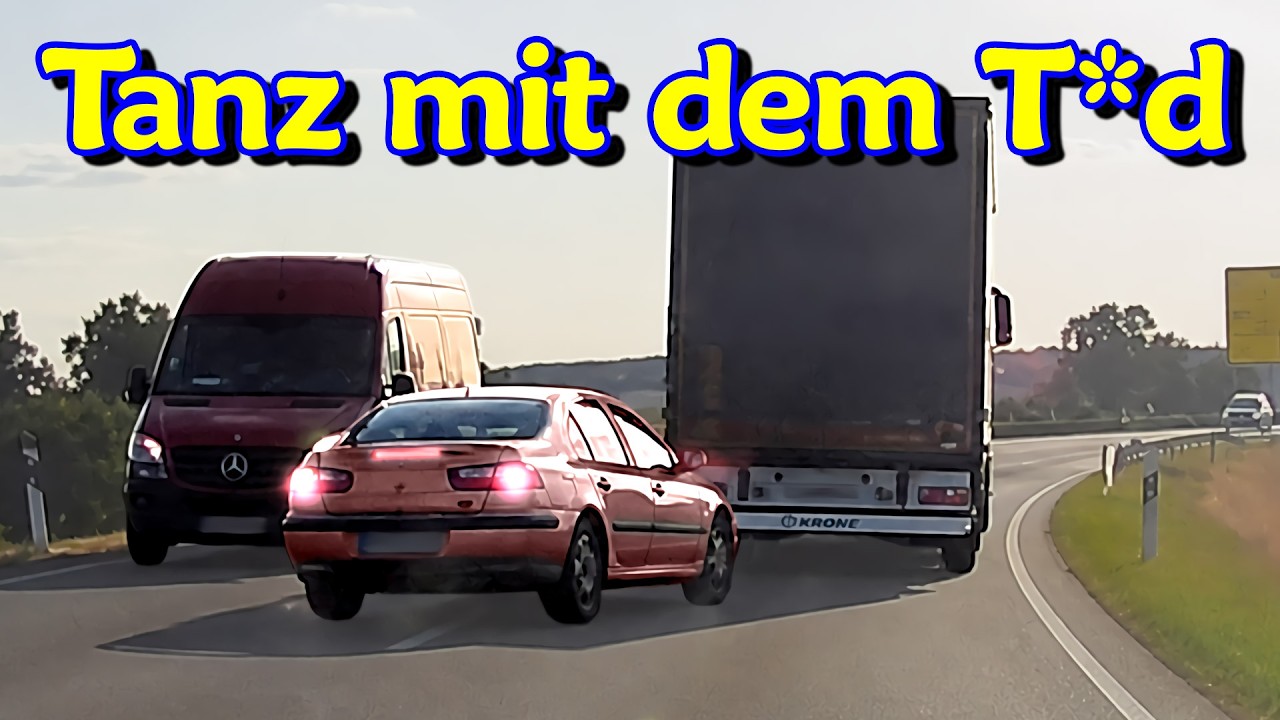 RTW &uuml;bersehen, blind &uuml;ber Stra&szlig;e laufen und Hund schleppt Baumst&auml;mme | DDG Dashcam Germany | #731