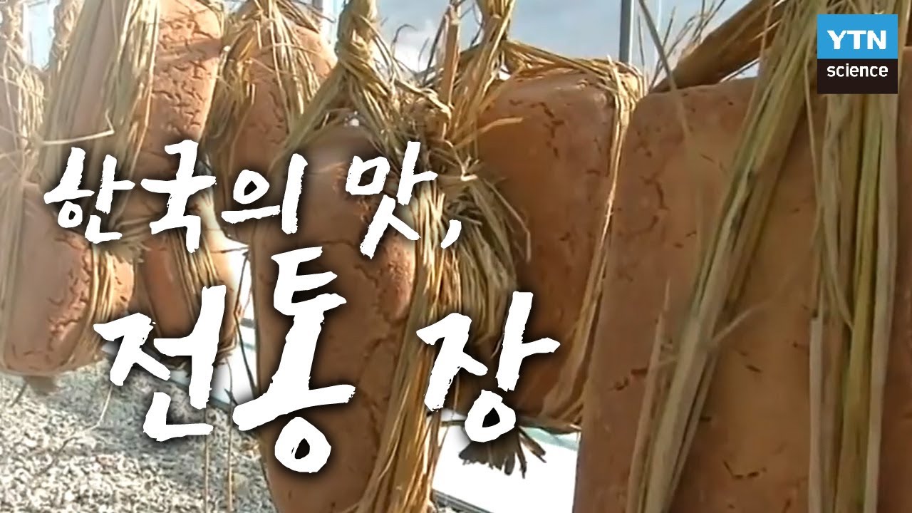 [한국사 探] 한국의 맛, 전통 장 속에 담긴 역사와 과학/ YTN 사이언스
