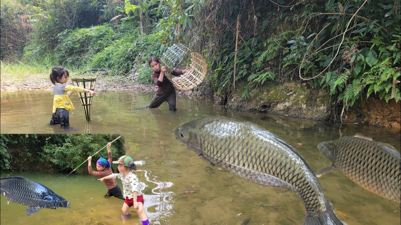 Meet giant fish in a pool of water. Use bamboo to knit a circle to catch fish. catch giant fish