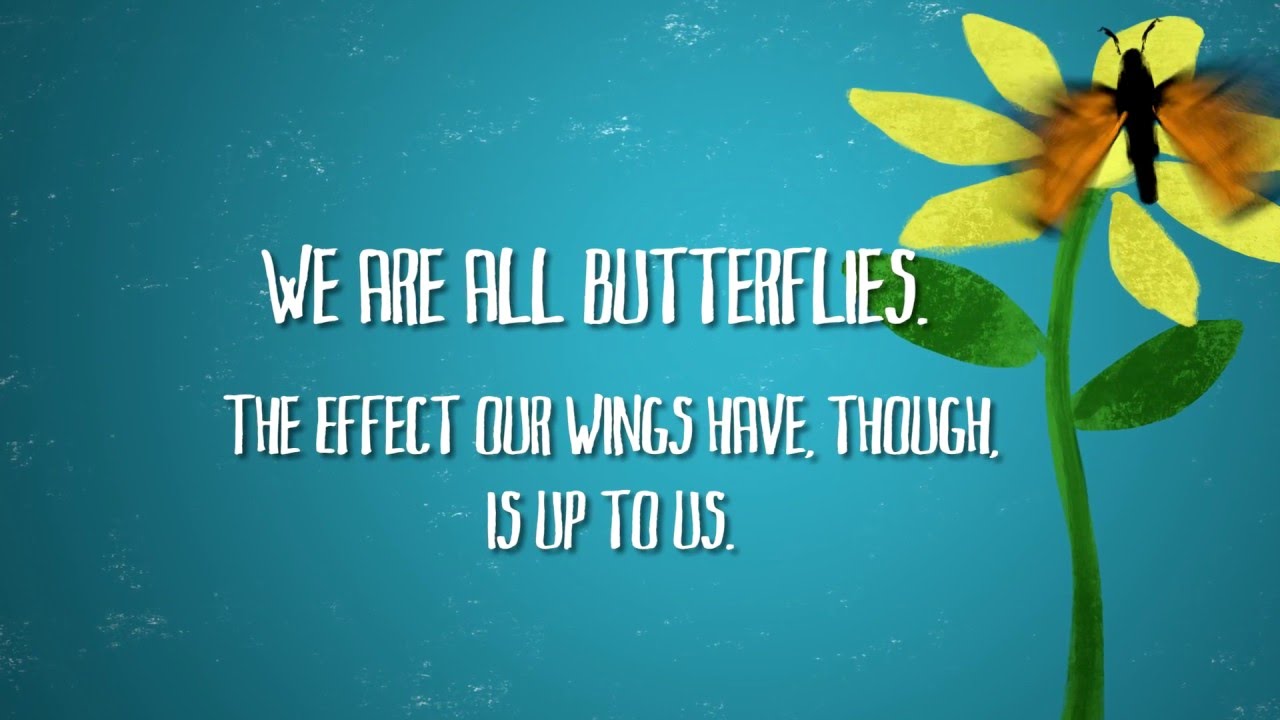The Butterfly Effect