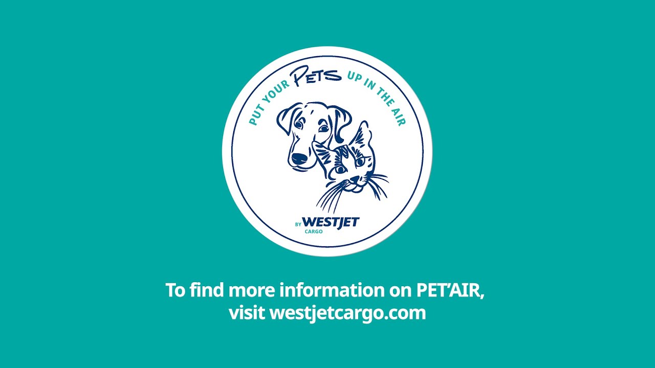 Pet'Air 101: The Complete Guide to Pet Air Travel with WestJet Cargo