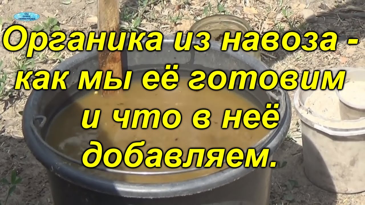 Органическое удобрение из коровьего навоза - как правильно приготовить.(перезалив)