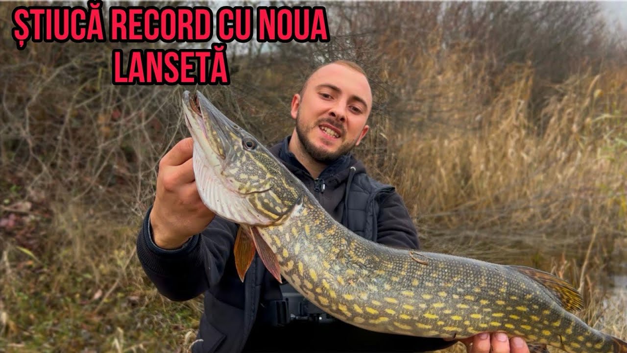 ȘTIUCĂ RECORD! 💥 Lansetă nouă și o știucă uriașă!💥