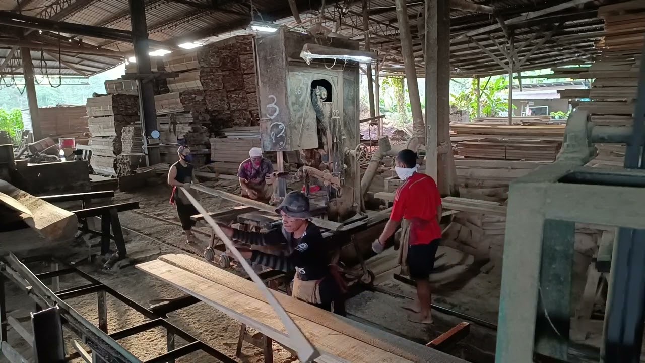 amazing!!full red and yellow meranti in board making....money comes-part 1