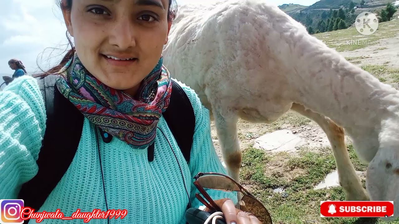Home to shetadhar||vlog-2 ||Thachi valley||Janjehli valley ||video edit by A N JU || Themountaingirl