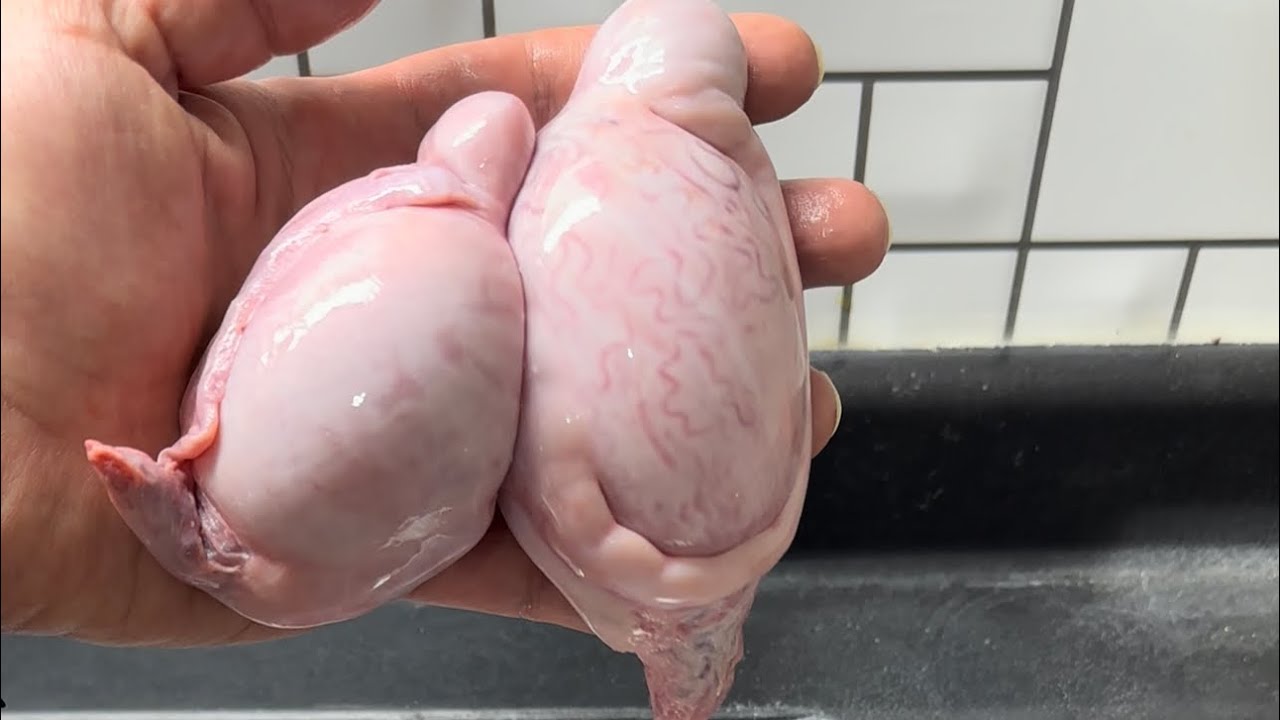 Billur kebabı nasıl yapılır