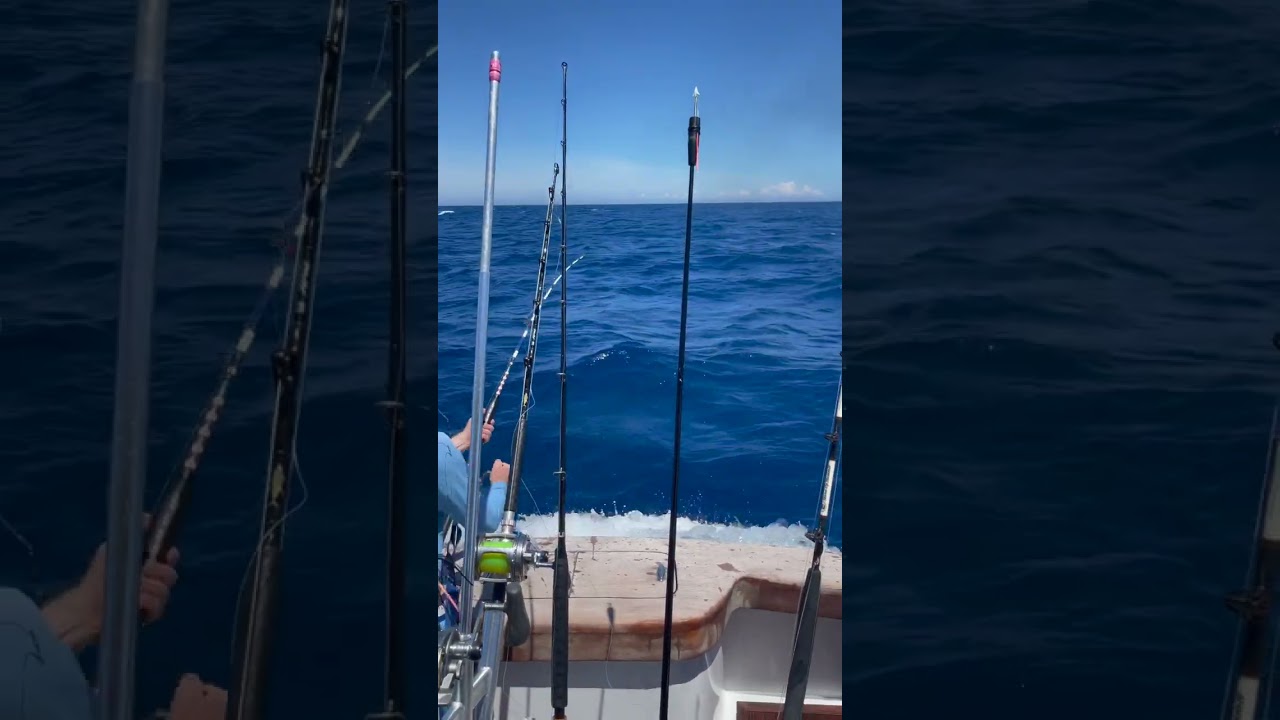 Backing down 6 knots on a Blue Marlin for 10 minutes straight!!