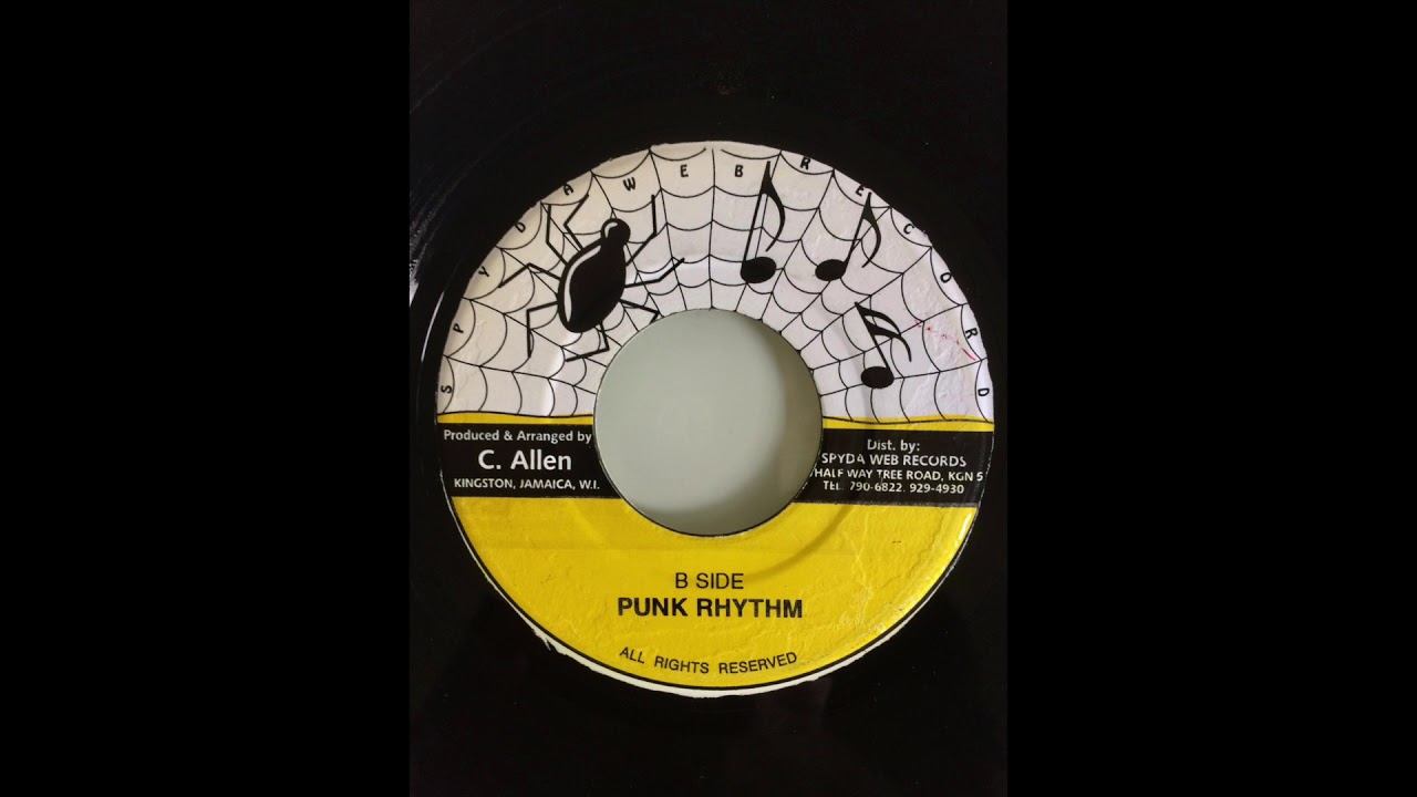 Punk Riddim Mix (Spyda Web Records, 2001)