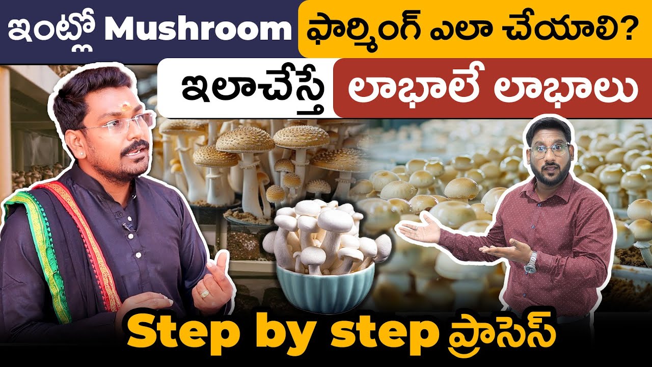 Mushroom Farming in Telugu🍄| How to Start Mushroom Farming? | 🌱Mushroom Cultivation at Home| Guide 🍄