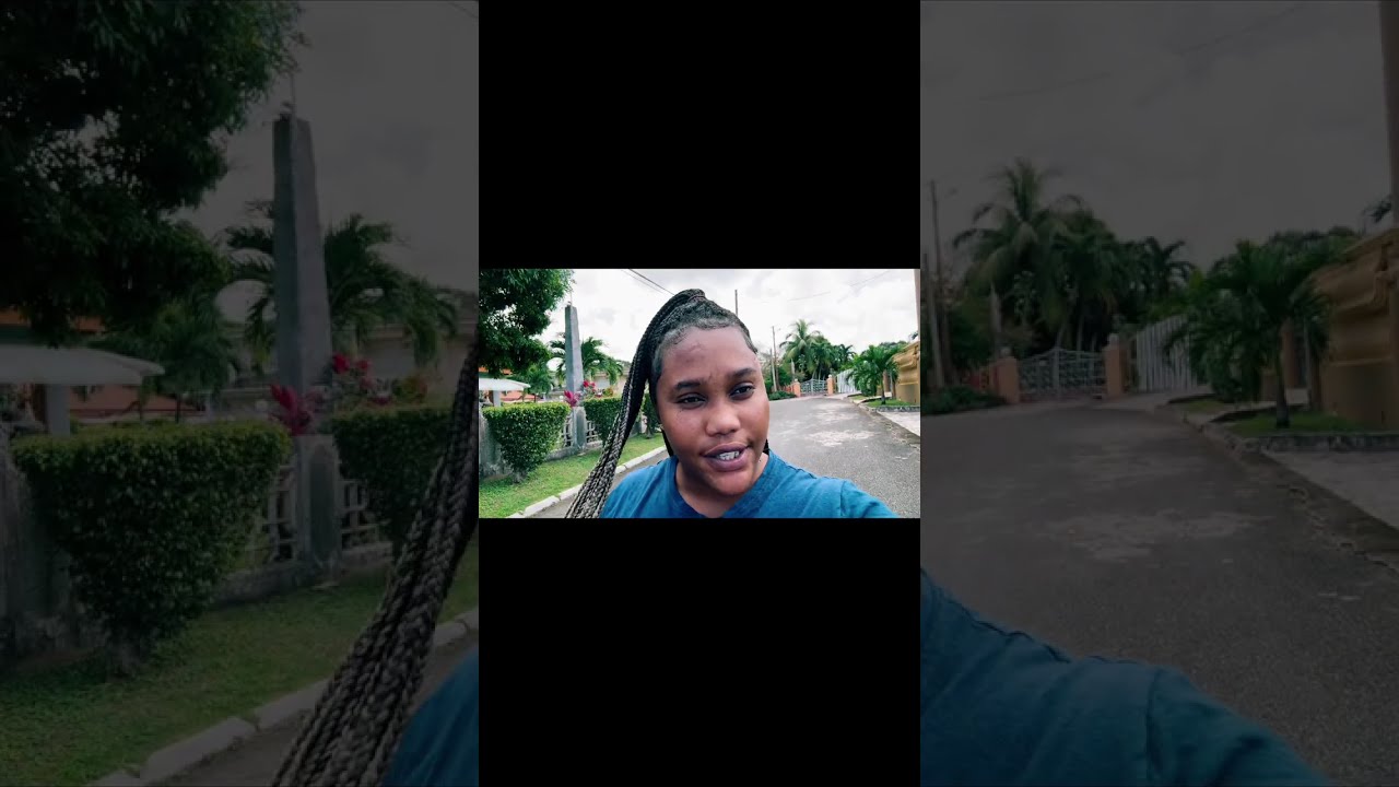 PART 5 AND HOW I WAS DETAINED BY ICE AGENT AND DEPORTED BACK TO JAMAICA