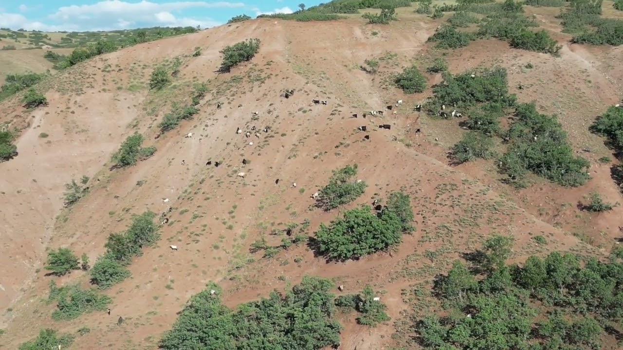 @DJI #nature #doğalyaşam #natural #fyp #fypage #keşfet #beniöneçıkart #kirsehir #turkey