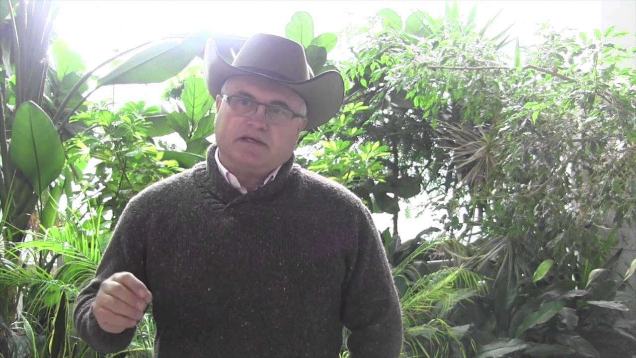 Beef Research School - Genetic Selection for Beef Carcass Quality