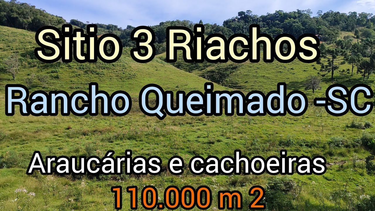 Sitio dos riachos das cachoeiras e lindas araucárias, Rancho Queimado - SC.