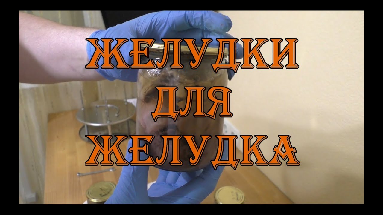 КУРИНЫЕ И ИНДЮШАЧЬИ ЖЕЛУДКИ В АВТОКЛАВЕ - ТУШЕНКА ИЗ ЖЕЛУДКОВ