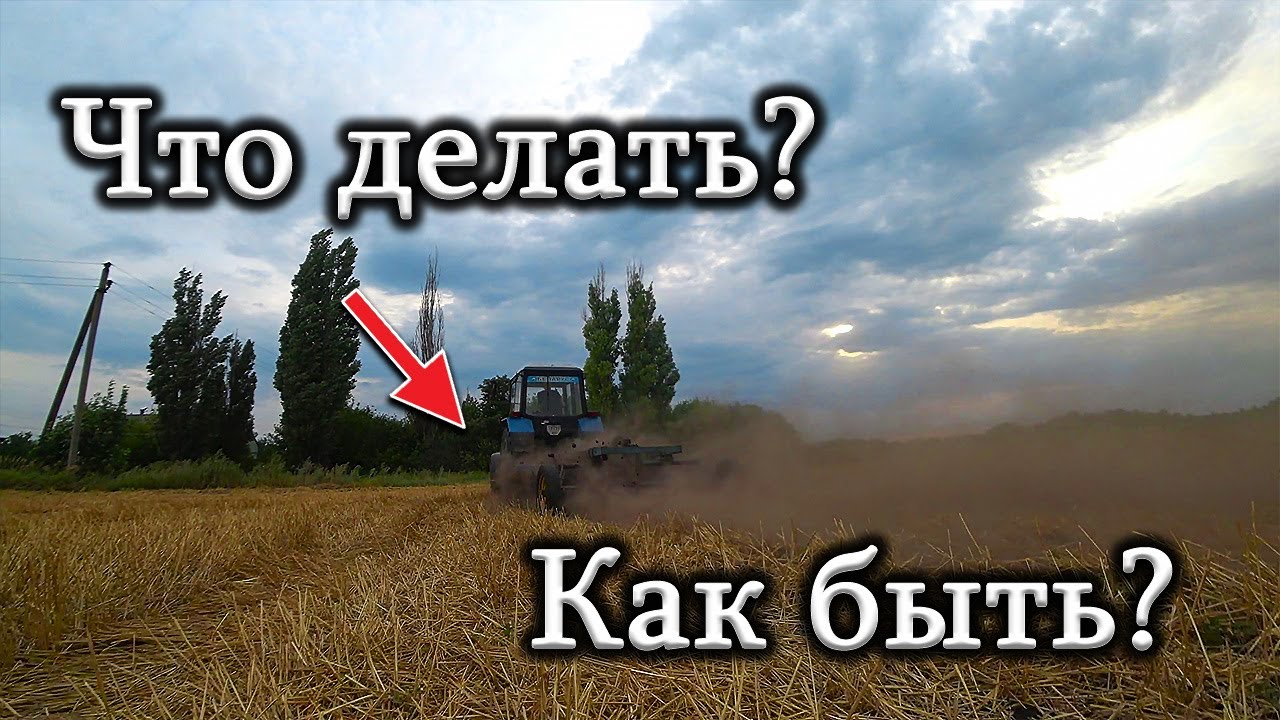 Что делать со стерней и валками соломы после уборки пшеницы?!