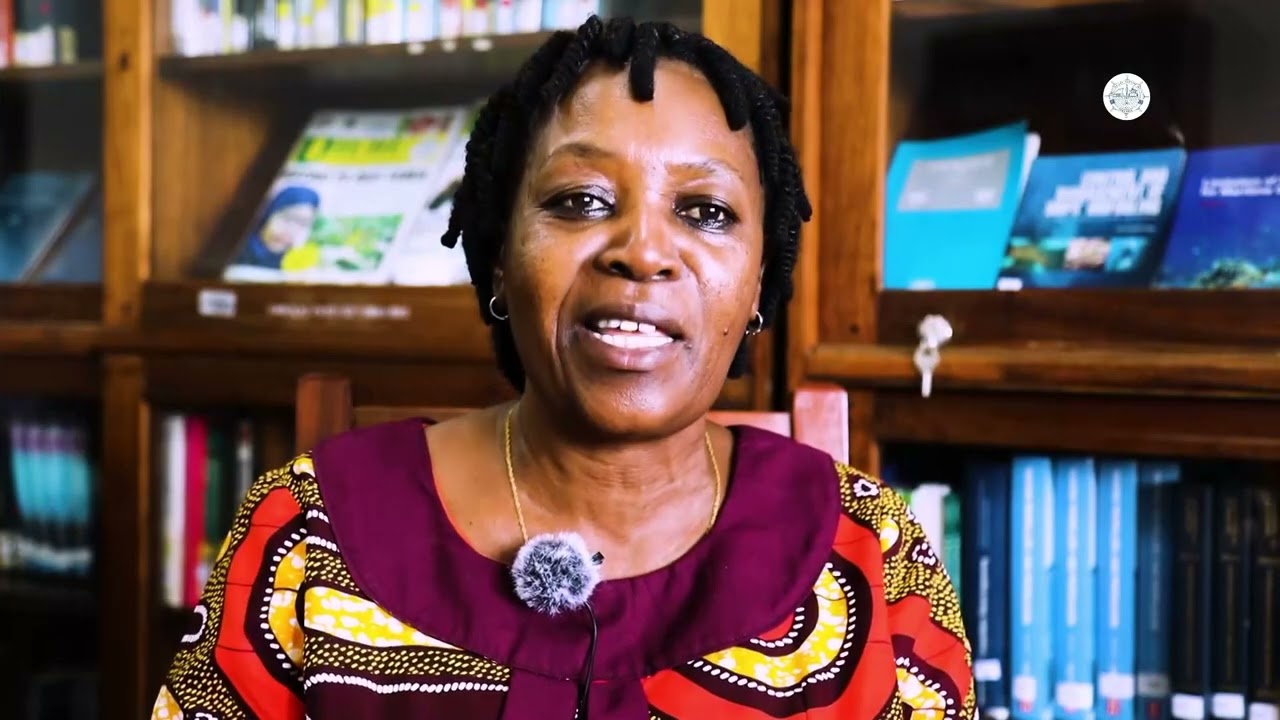 IFAHAMU DMI KATIKA KUCHOCHEA UCHUMI WA TANZANIA