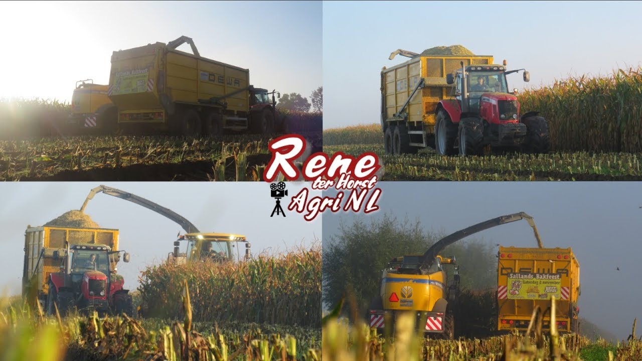 2019 | Mais hakselen | Massey ferguson | Pekkeriet Dalfsen | Dewa | New holland FR550 | NL