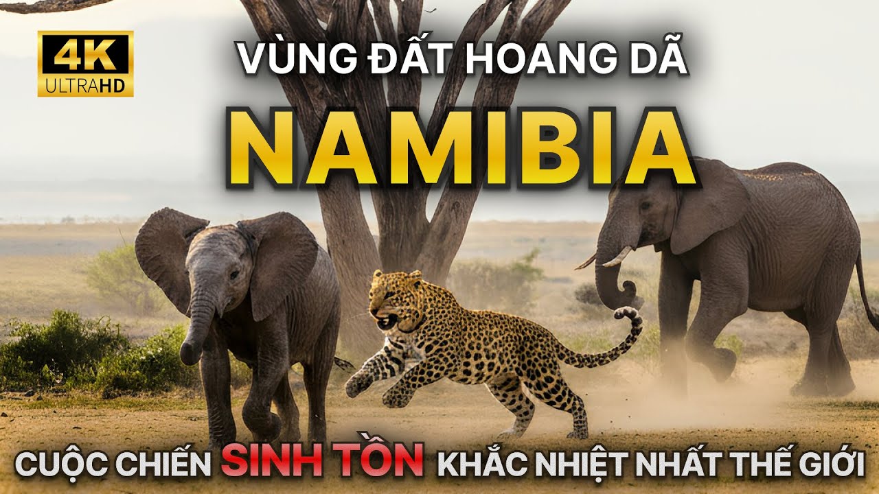 NAMIBIA HOANG D&Atilde; &ndash; Khởi Nguy&ecirc;n Của Sự Sống Bất Tử?