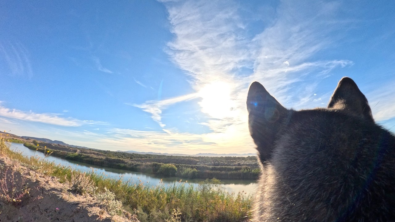 Luna Cam:  Walking the All American Canal  |  Ft Yuma Indian Reservation