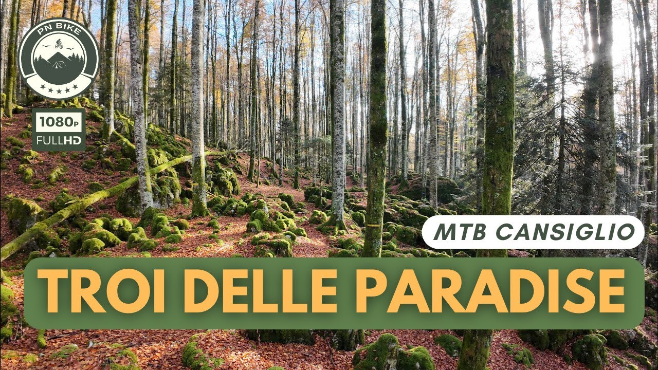 Troi delle Paradise - Sentiero O - Cansiglio MTB