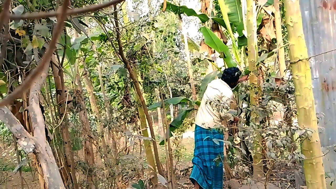 শেষে যা হলো বিশ্বাস করবেন না!😱