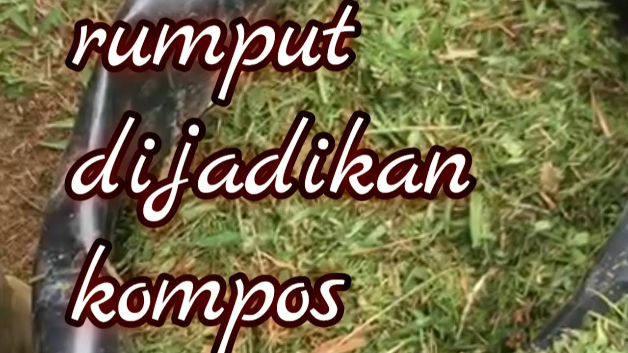 Begini cara membuat kompos daripada rumput