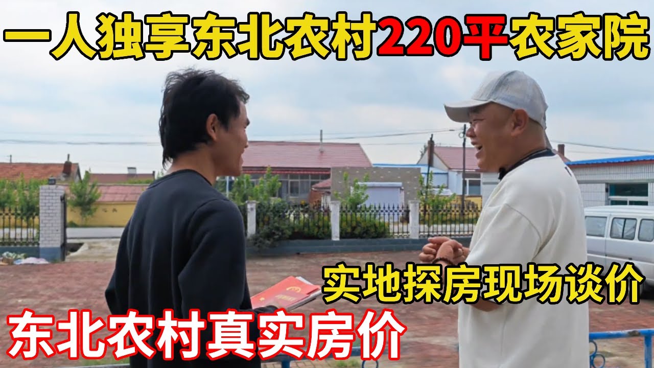 广西小伙在离沈阳仅30公里的新民自己一个人住220平的农家院 #农家小院 #房价 #买房