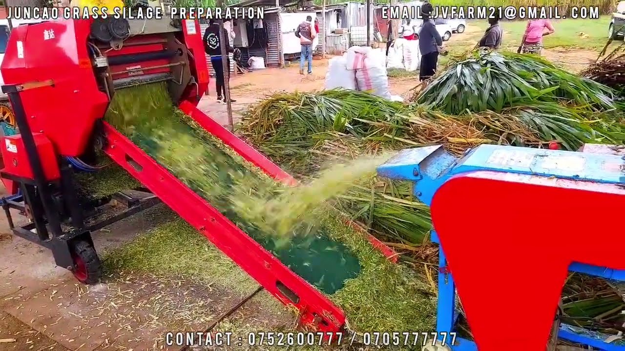 Juncao Grass Silage Baler and Chopper Now Available.Contact :0752600777 or Email jvmfarm21@gmail.com