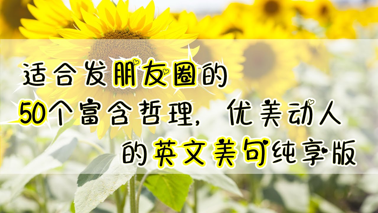 【生活常用英文】50个英文美文美句纯享 英文可以发的朋友圈文案 | 生活实用英语口语 从零开始学英语口语