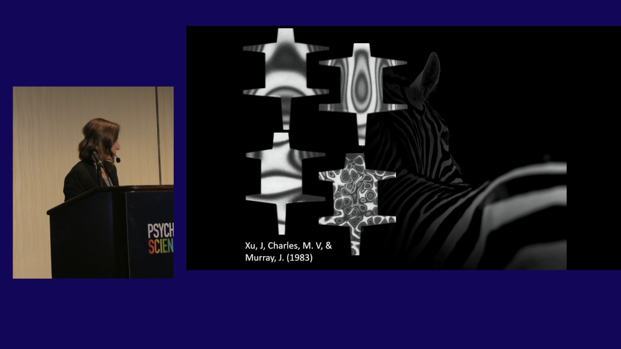 Selen Atasoy: Enhanced Improvisation in LSD Brain Processing