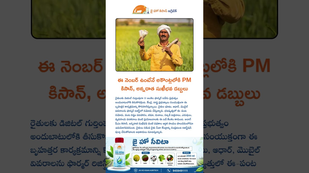 ఈ నెంబర్ ఉంటేనే అకౌంట్లలోకి PM కిసాన్, అన్నదాత సుఖీభవ డబ్బులు #telugu #agriculture #viralvideo